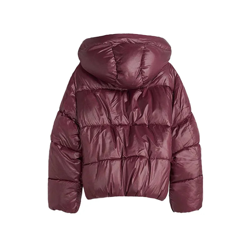 Maroon puffer jacket on a white background