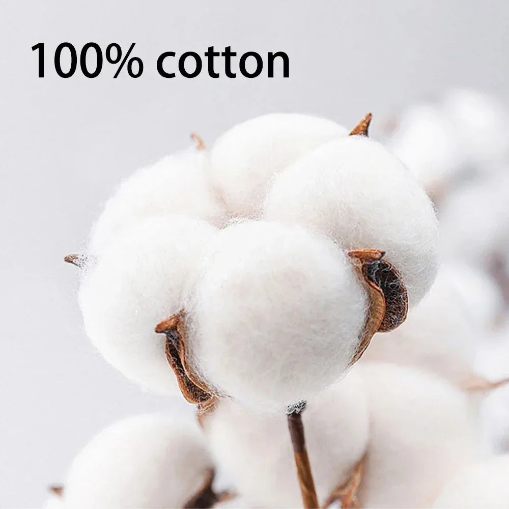 Close-up of cotton bolls with '100% cotton' text on a light gray background